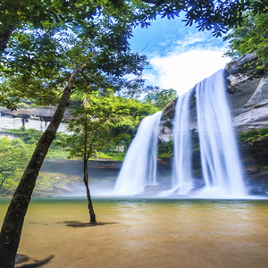 Ein majestätischer Wasserfall fließt in einen klaren Teich, umgeben von dichter grüner Vegetation und strahlendem blauen Himmel.