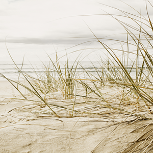 Natürliche Strandlandschaft mit Dünengras und Meer im Hintergrund