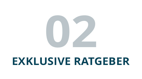 Grafik mit der Nummer 02, darunter der Text Exklusive Ratgeber