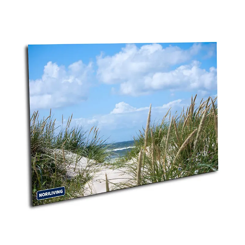 Muster Duschrückwand Dünen Gras Strand 832